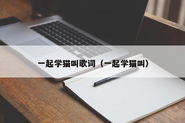 一起学猫叫歌词（一起学猫叫）