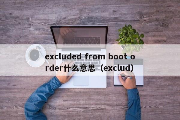 excluded from boot order什么意思（exclud）