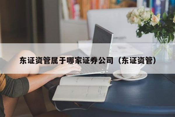 东证资管属于哪家证券公司（东证资管）