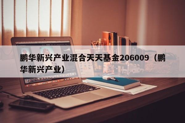 鹏华新兴产业混合天天基金206009（鹏华新兴产业）