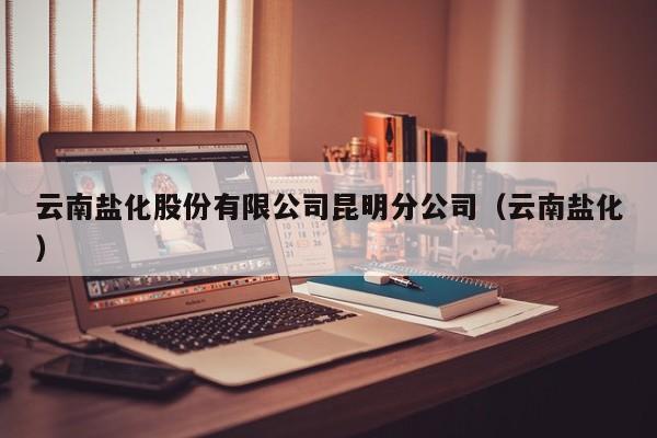 云南盐化股份有限公司昆明分公司（云南盐化）