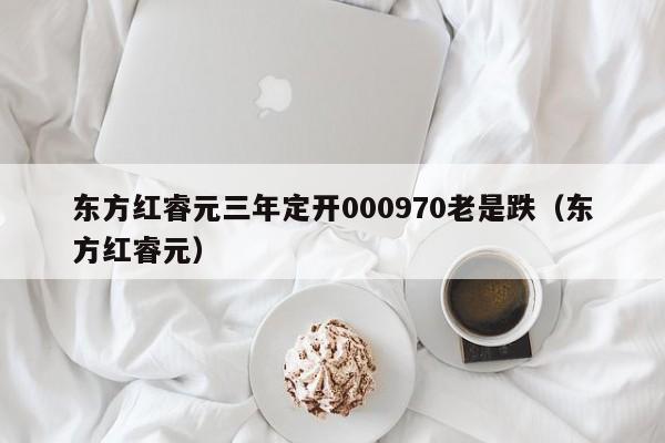 东方红睿元三年定开000970老是跌（东方红睿元）