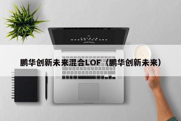 鹏华创新未来混合LOF（鹏华创新未来）