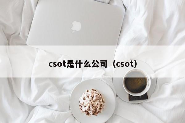 csot是什么公司（csot）