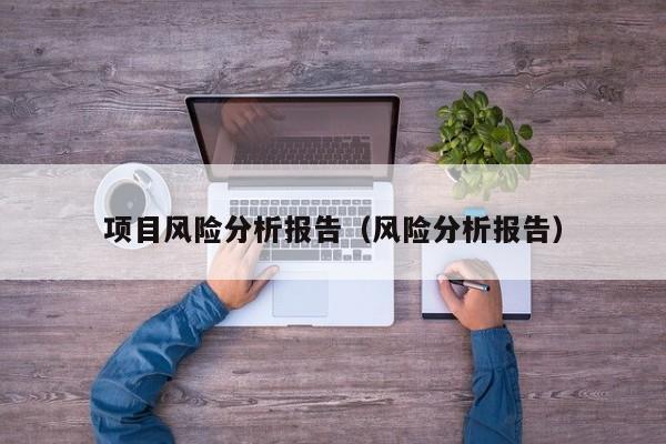 项目风险分析报告（风险分析报告）