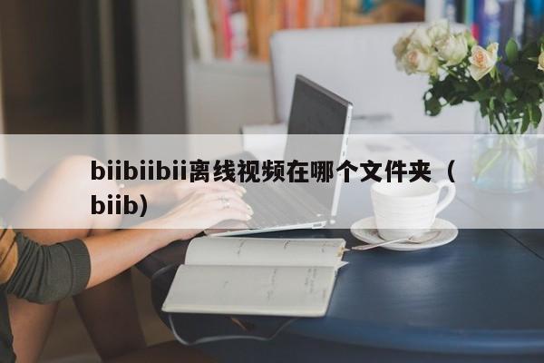 biibiibii离线视频在哪个文件夹（biib）