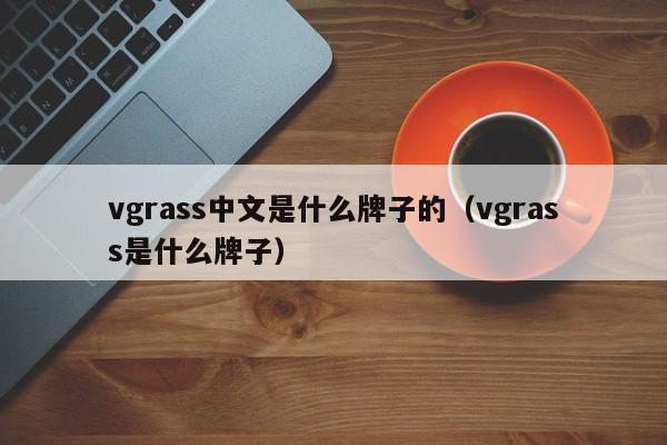 vgrass中文是什么牌子的（vgrass是什么牌子）