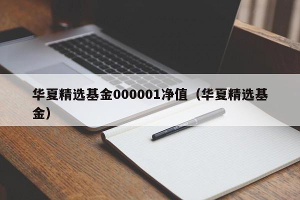 华夏精选基金000001净值（华夏精选基金）