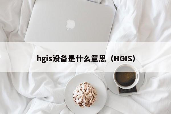 hgis设备是什么意思（HGIS）