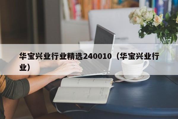 华宝兴业行业精选240010（华宝兴业行业）