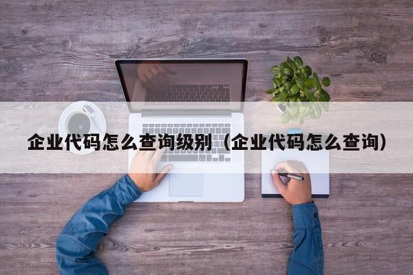 企业代码怎么查询级别（企业代码怎么查询）