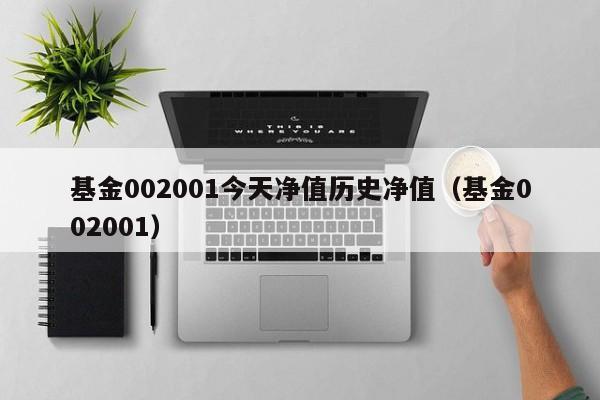 基金002001今天净值历史净值（基金002001）