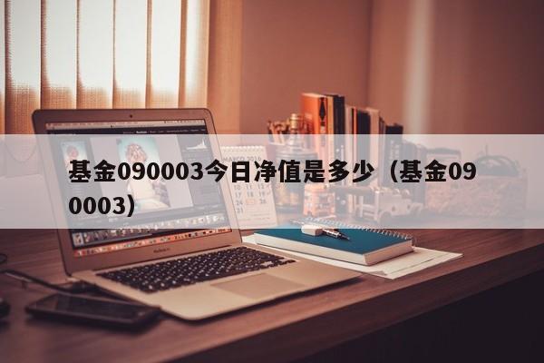 基金090003今日净值是多少（基金090003）