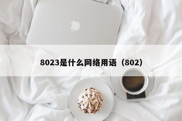 8023是什么网络用语（802）